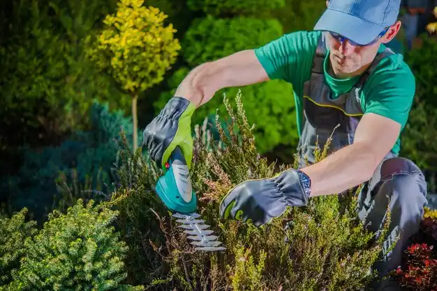 landscaping services Lawrenceburg
